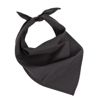 Fiesta - Bandana